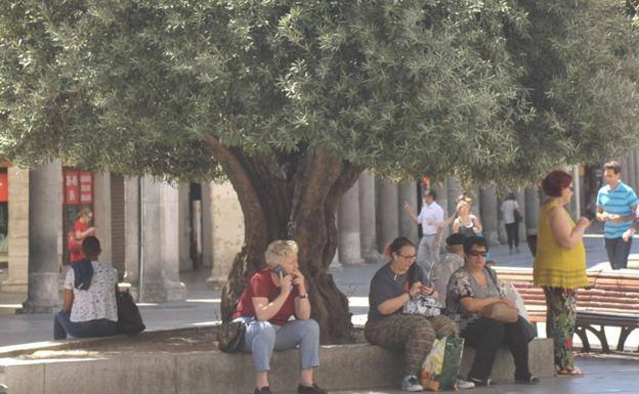 El tiempo: La Junta recuerda algunos consejos para protegerse del calor, que causó una muerte en Burgos en 2019