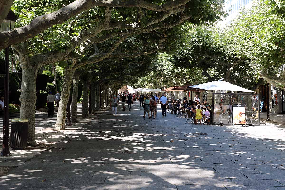 Fotos: La codiciada sombra en Burgos