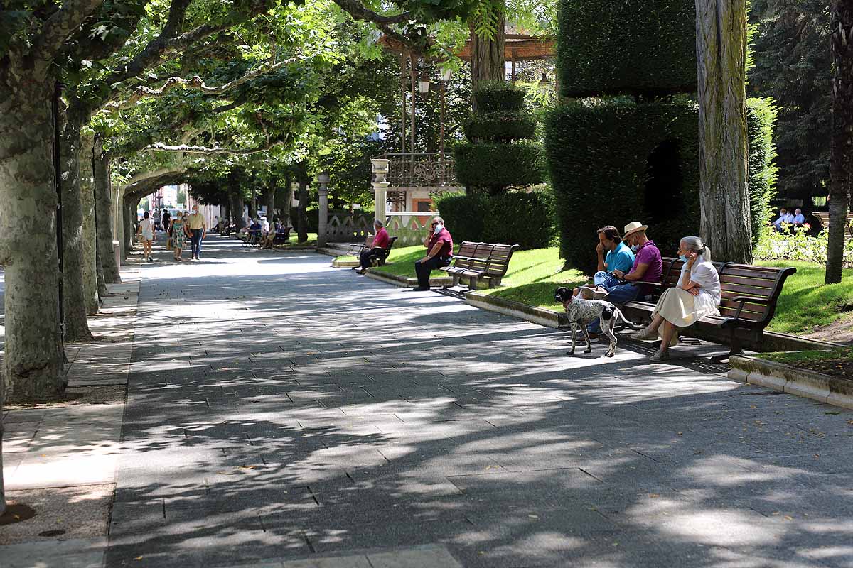 Fotos: La codiciada sombra en Burgos