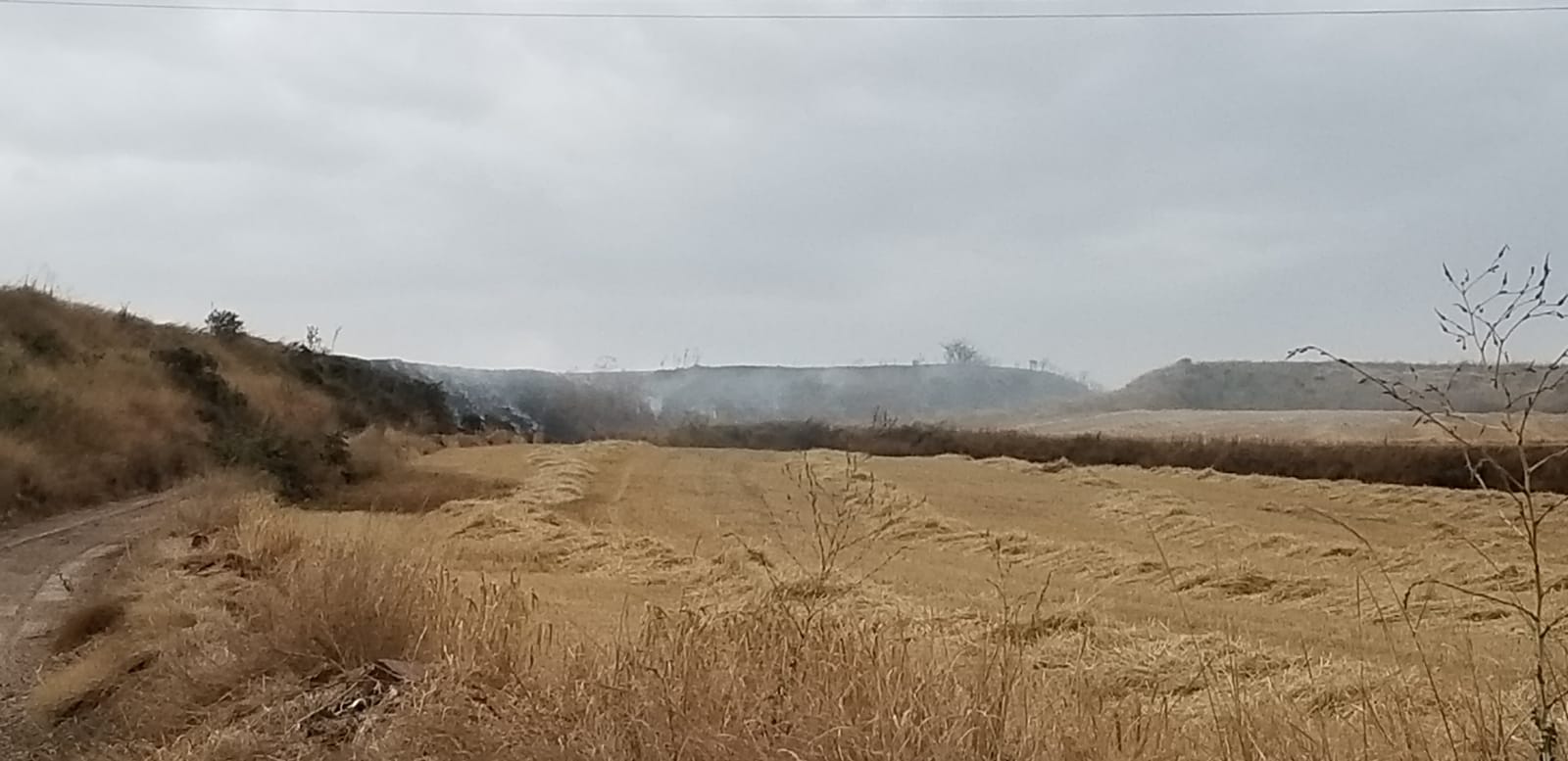 Fotos: Un incendio en Villagonzalo-Pedernales activa las alarmas en Burgos