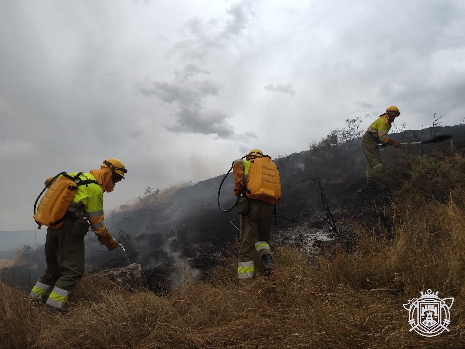 Fotos: Un incendio en Villagonzalo-Pedernales activa las alarmas en Burgos