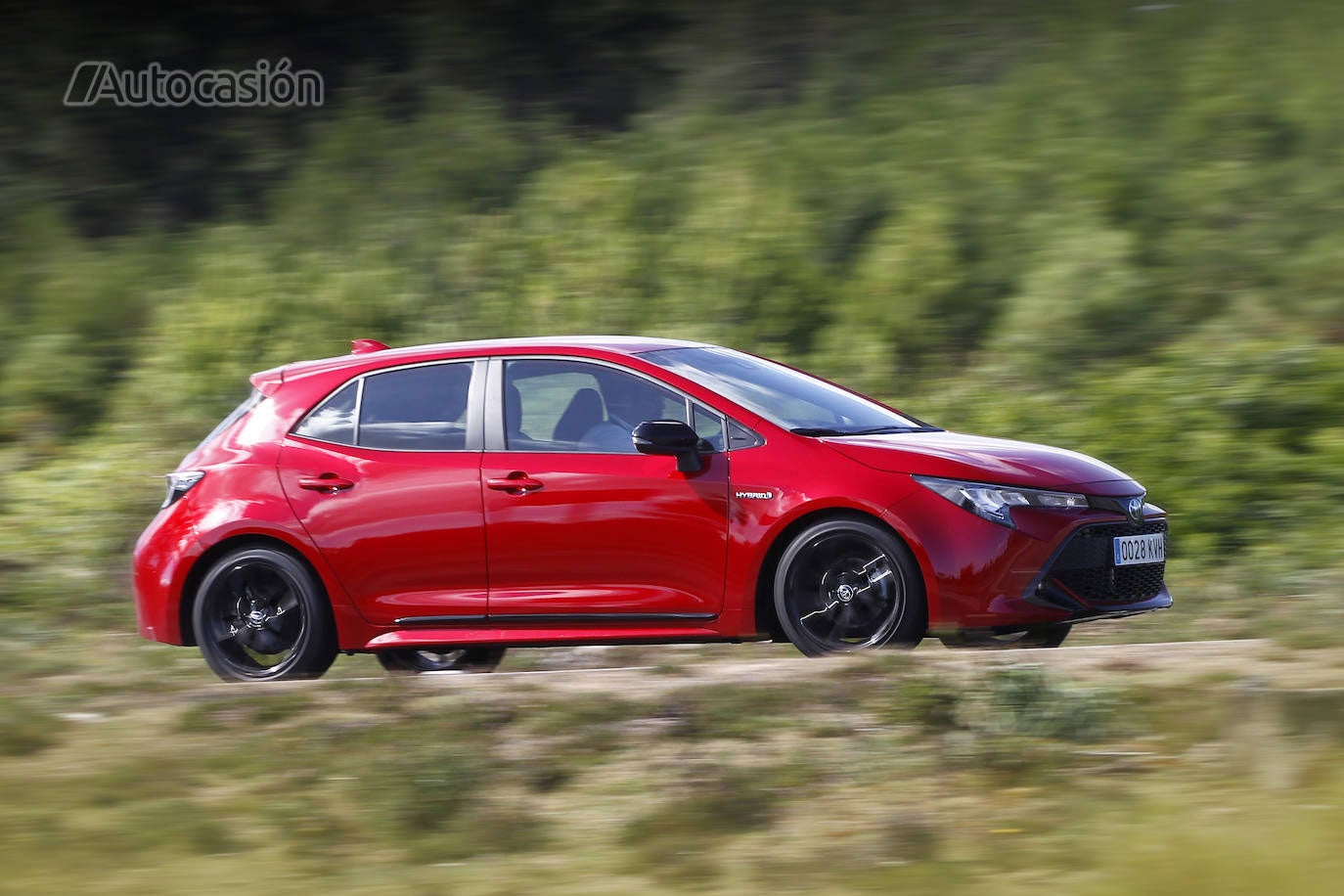 Fotos: Fotogalería: Toyota Corolla 1.8H