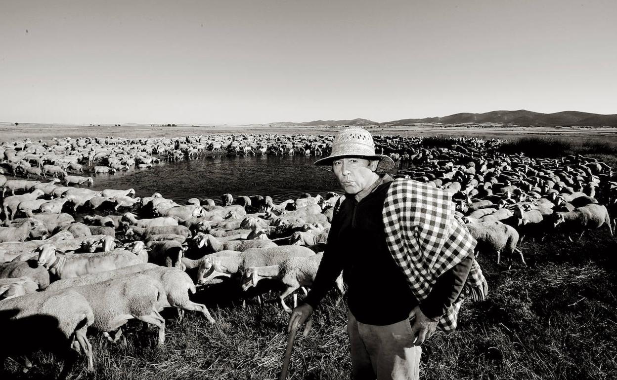 Amado Lizama, el pastor de Bello (Teruel) que atendia las llamadas de las personas que estaban solas durante los meses de aislamiento por la pandemia.