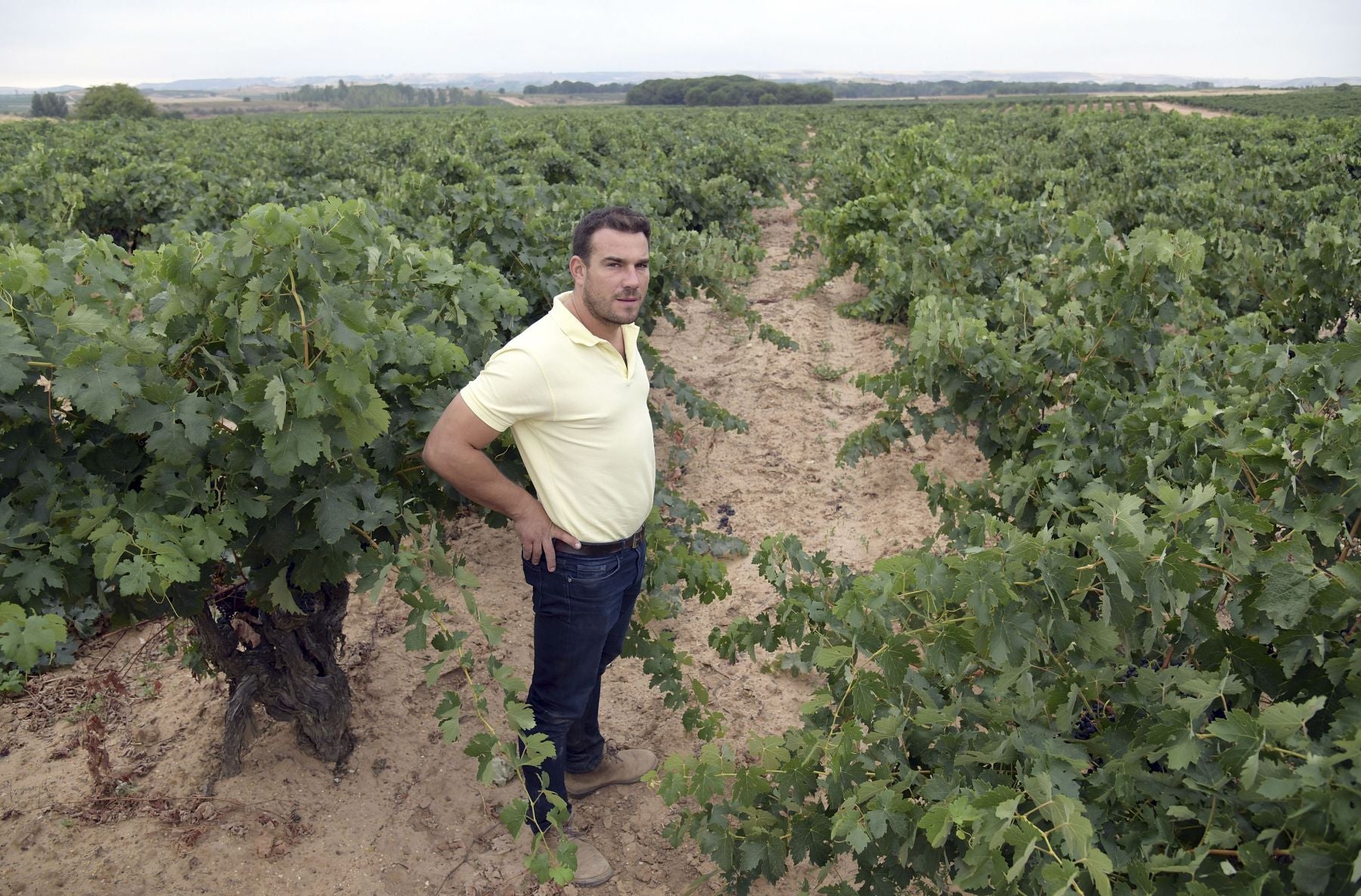 Fotos: Un sueño vinícola que finalmente dio sus frutos