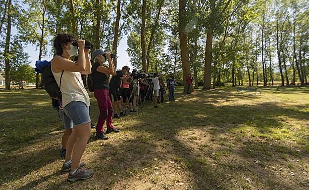 Imagen principal - Más de 1.400 personas han disfrutado de las más de 30 citas culturales que Medina ha adaptado a la nueva normalidad