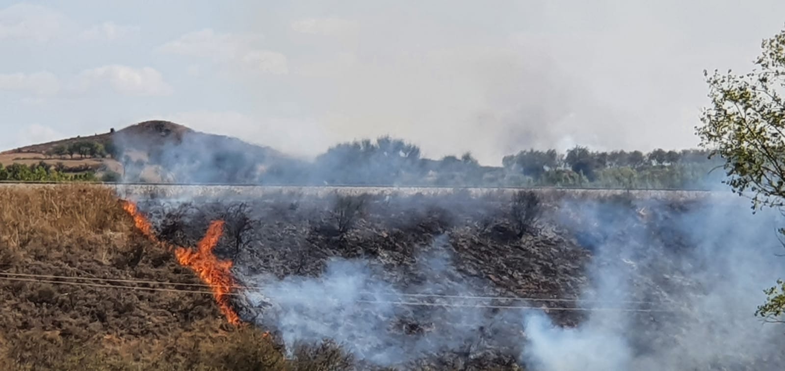 Fotos: Incendio en Santa Cecilia