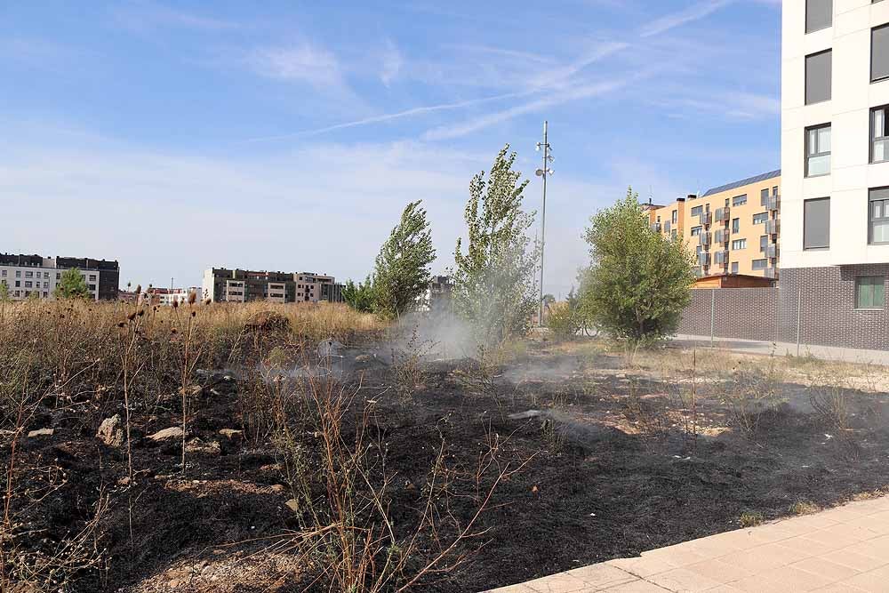 Fotos: Incendio de maleza en Fuentecillas