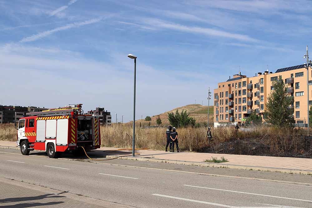 Fotos: Incendio de maleza en Fuentecillas