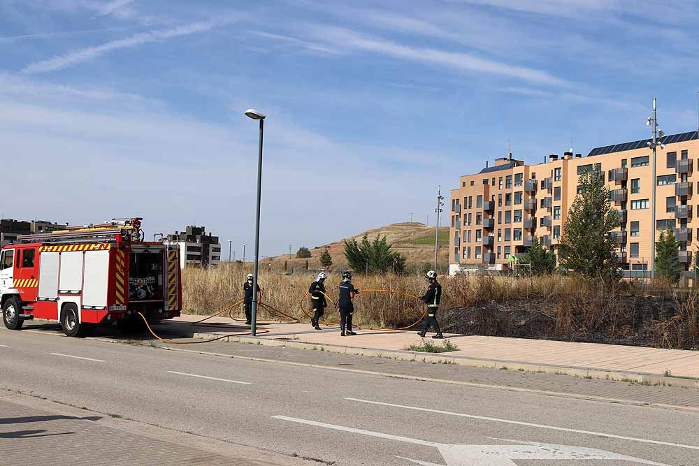 Fotos: Incendio de maleza en Fuentecillas