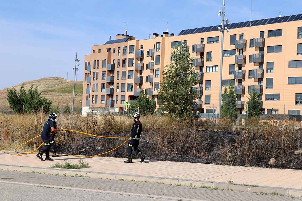 Fotos: Incendio de maleza en Fuentecillas