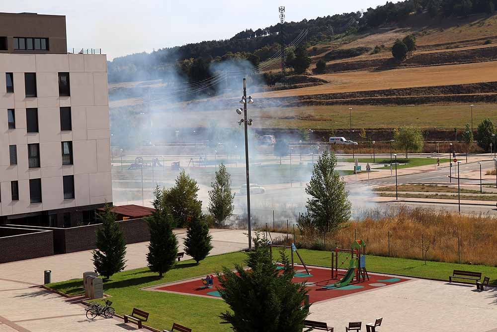 Fotos: Incendio de maleza en Fuentecillas