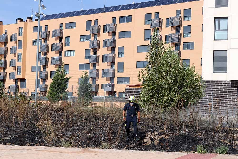 Fotos: Incendio de maleza en Fuentecillas