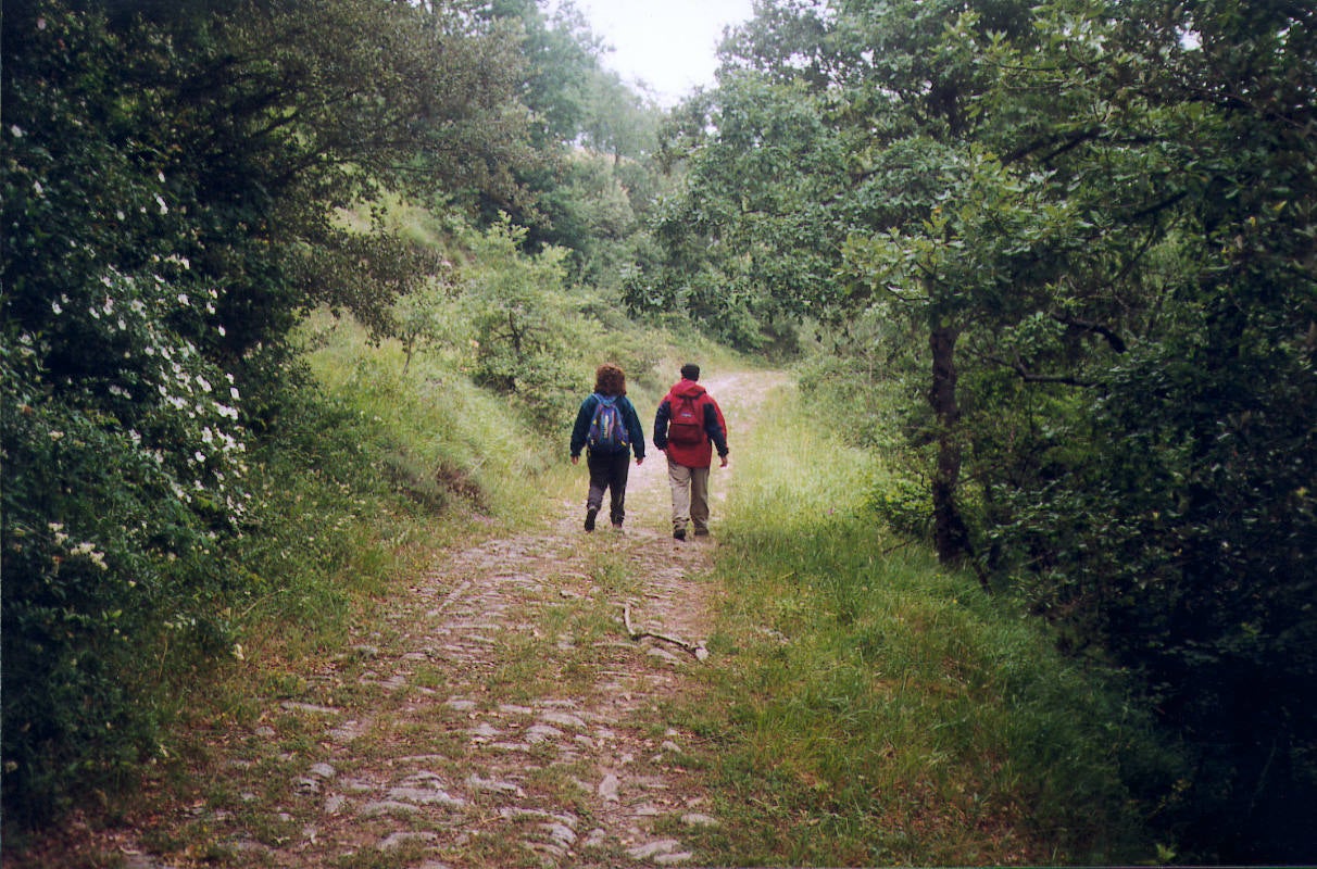 Snderistas en la provincia de Burgos. 