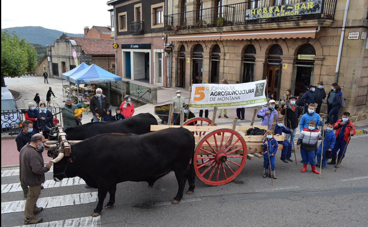 Quintanar acogió este sábado un mercado de productos locales, con degustación e bares y restaurantes.