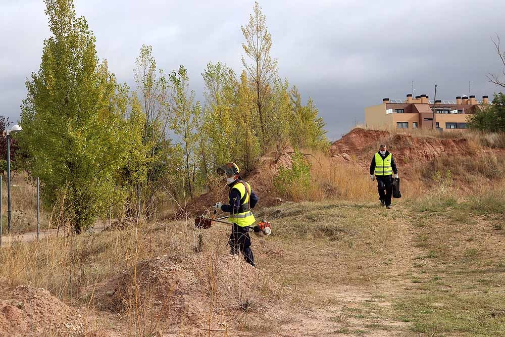 Fotos: Las brigadas del Plan de Empleo estarán limpiando y adecentando Burgos hasta febrero