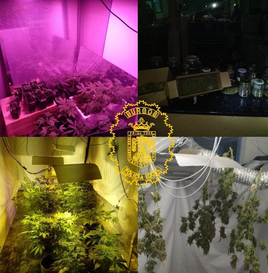 Fotos de lo que descubrió la Policía en el interior del local. 