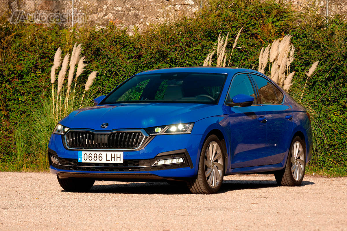 Fotos: Fotogalería: Skoda Octavia 1.5 TSi 2020