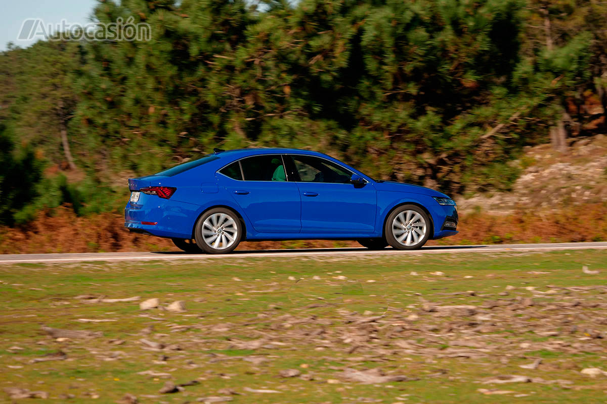 Fotos: Fotogalería: Skoda Octavia 1.5 TSi 2020