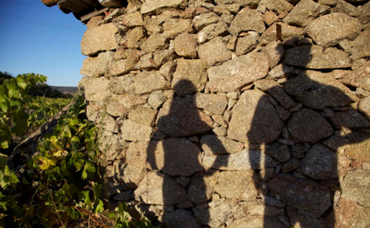 La falta de recursos empuja muchas veces al silencio a la mujer víctima de maltrato en el medio rural.