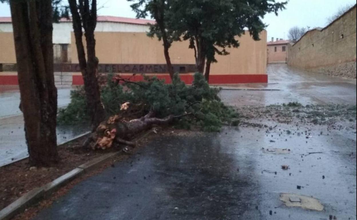 Efectos de la lluvia en la provincia de Valladolid.