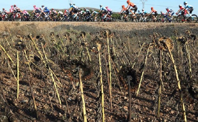 Vuelta Ciclista a su paso por Burgos.