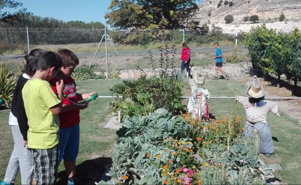 Alumnos del CRA Valle del Riaza durante una de las actividades en la huerta ecológica que 'trabajan' ellos mismos en el colegio. 