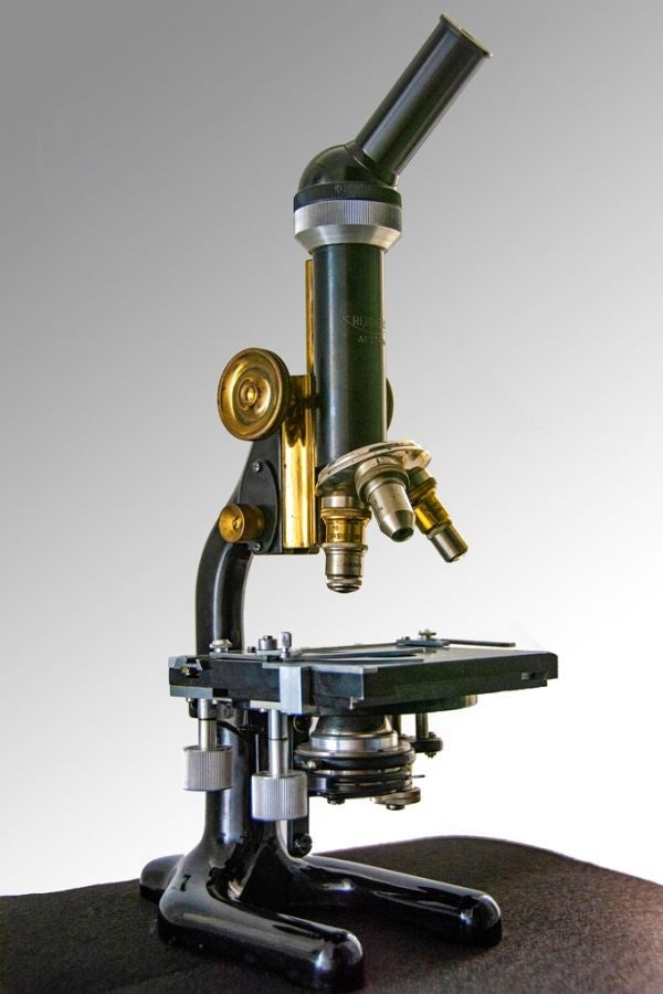 Fotos: Exposición &#039;Las misteriosas mariposas del alma. Don Santiago Ramón y Cajal