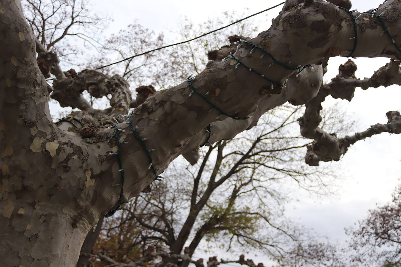 Fotos: Las luces de Navidad se encenderán el 4 de diciembre