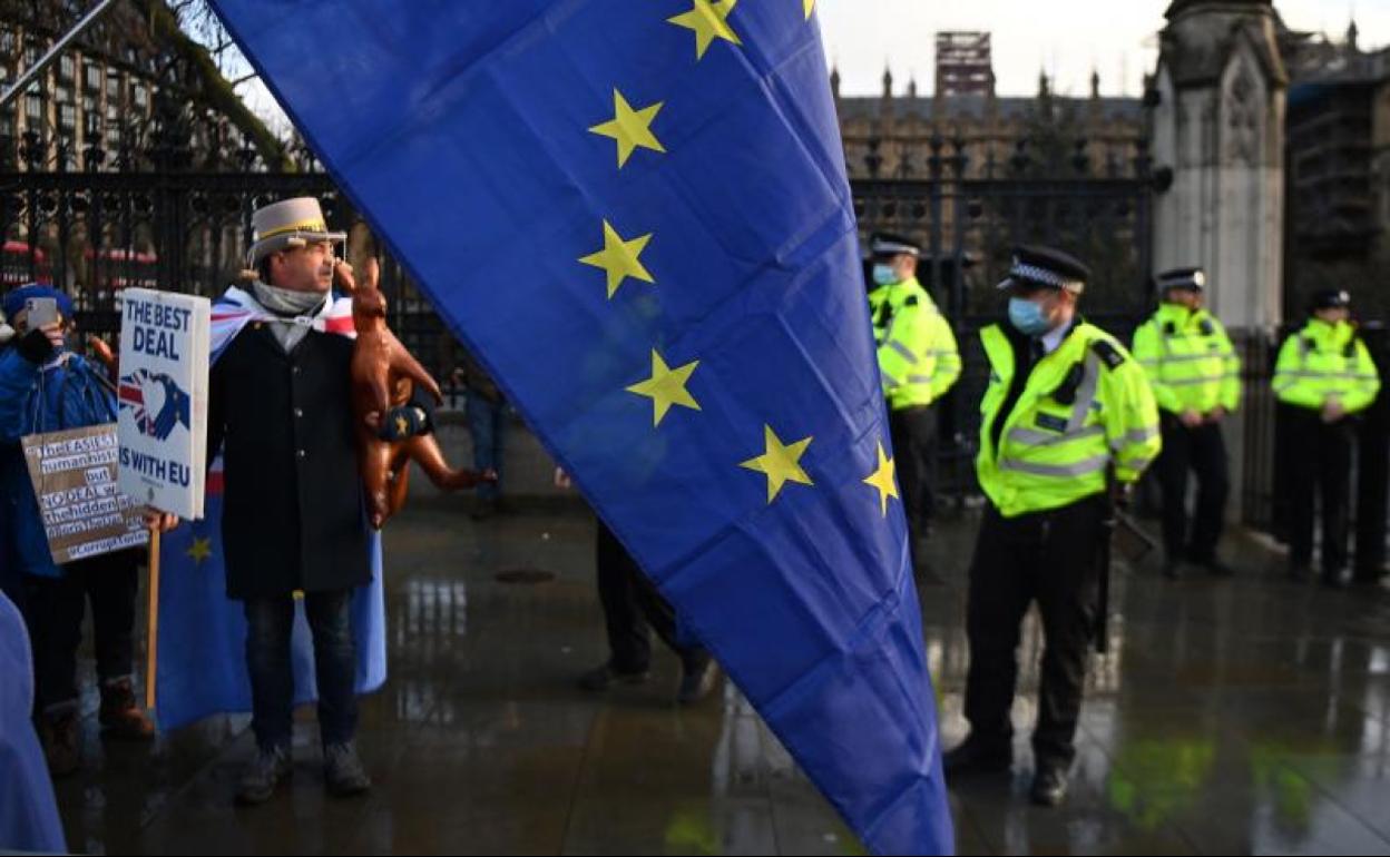 Activistas pro UE fuera del parlamento en Londres (Reino Unido) 