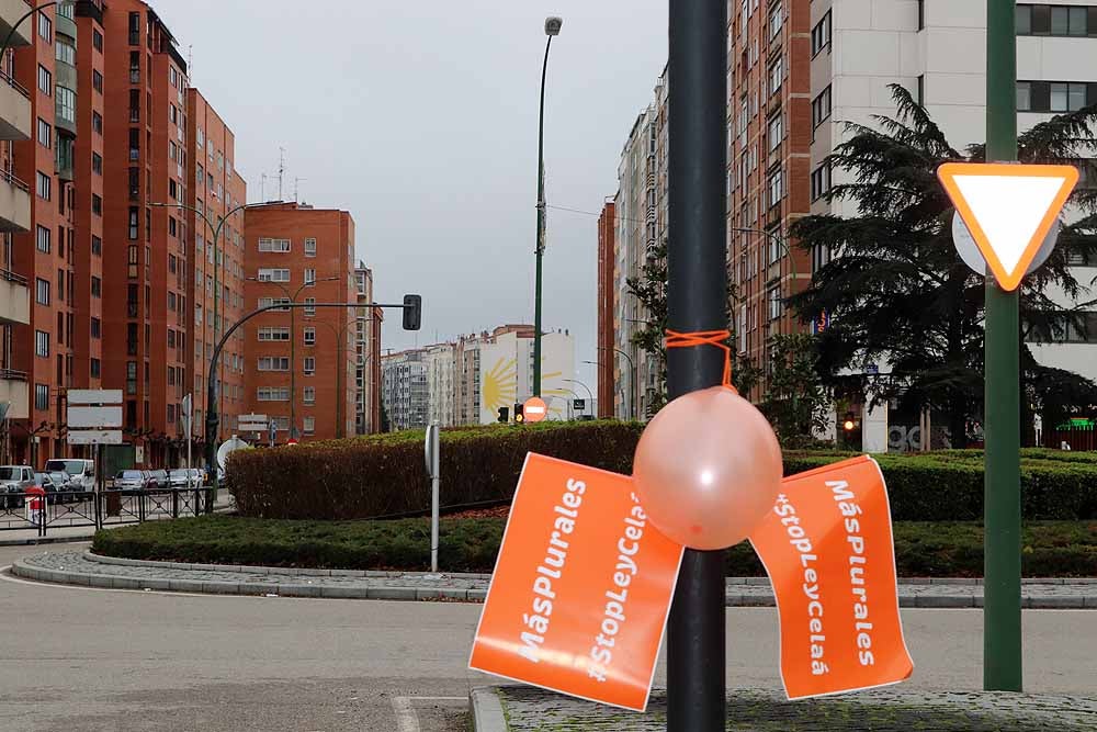 Fotos: Una caravana de coches contra la Ley Celaá recorre las calles de Burgos