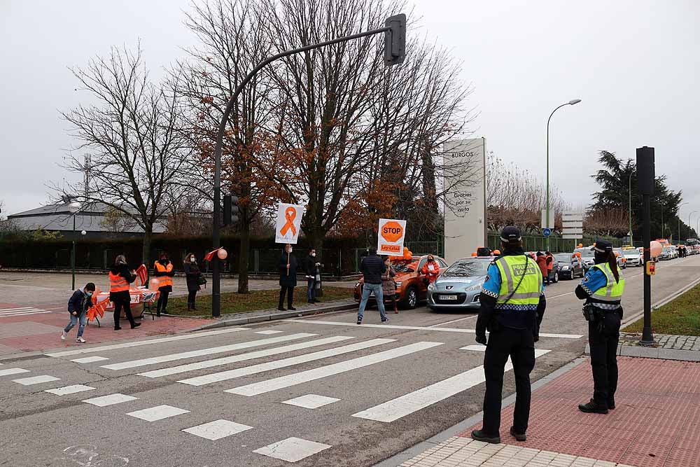 Fotos: Una caravana de coches contra la Ley Celaá recorre las calles de Burgos