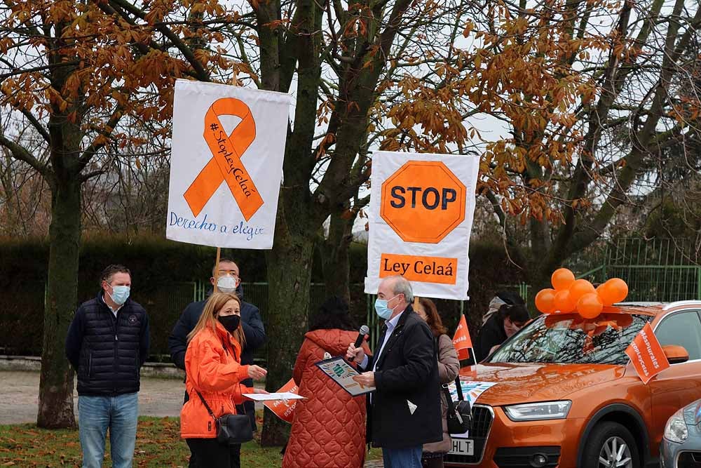 Fotos: Una caravana de coches contra la Ley Celaá recorre las calles de Burgos