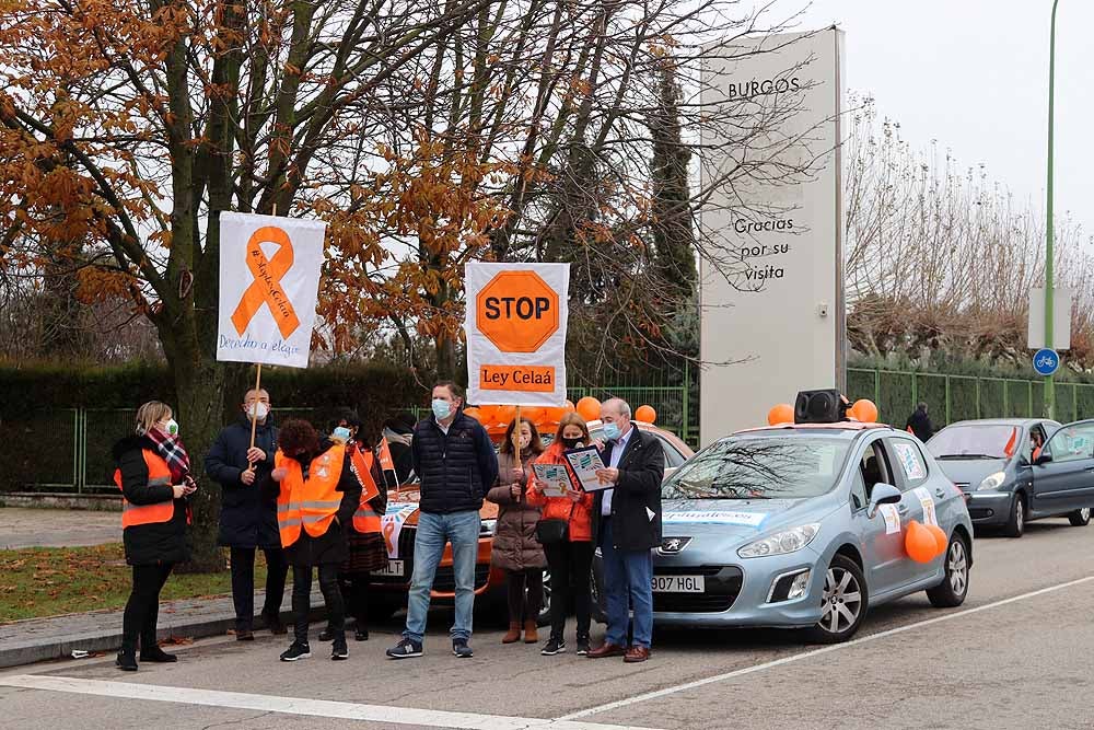 Fotos: Una caravana de coches contra la Ley Celaá recorre las calles de Burgos