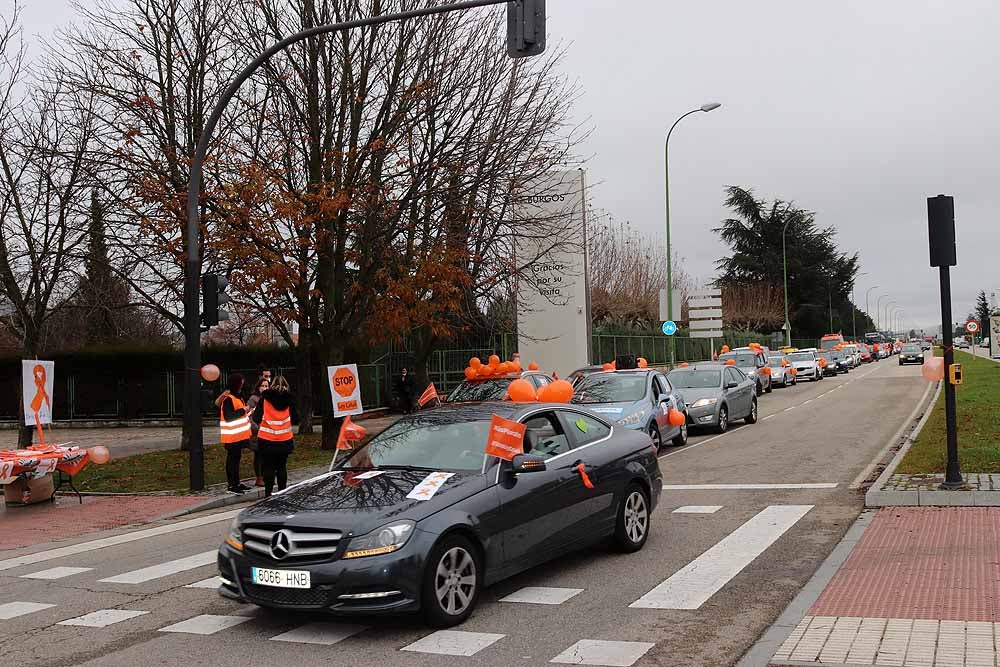 Fotos: Una caravana de coches contra la Ley Celaá recorre las calles de Burgos