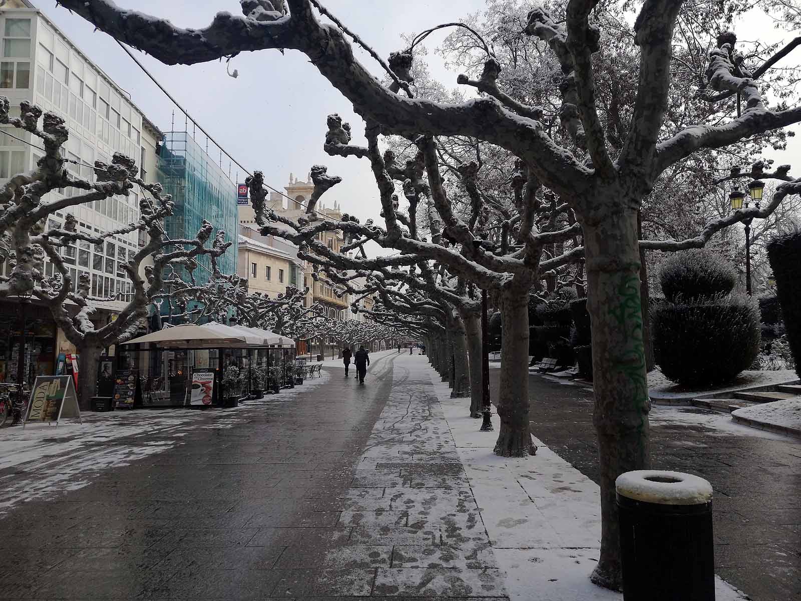 Fotos: La nieve cubre el centro de la ciudad