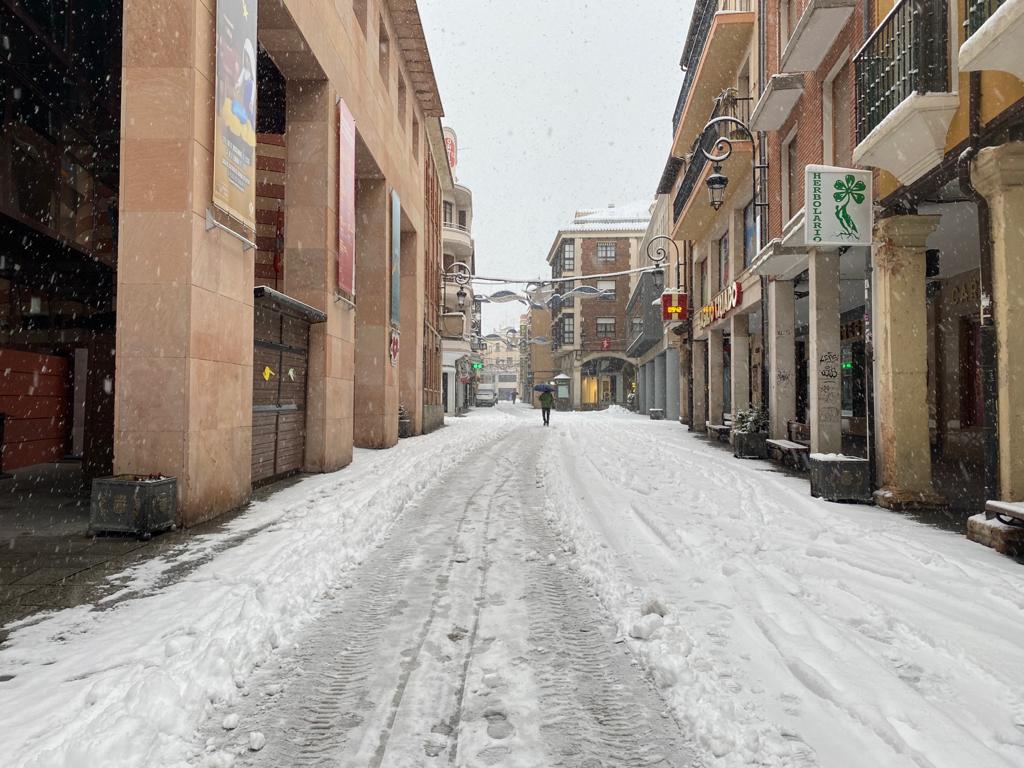 Fotos: Aranda de Duero se levanta cubierta de nieve