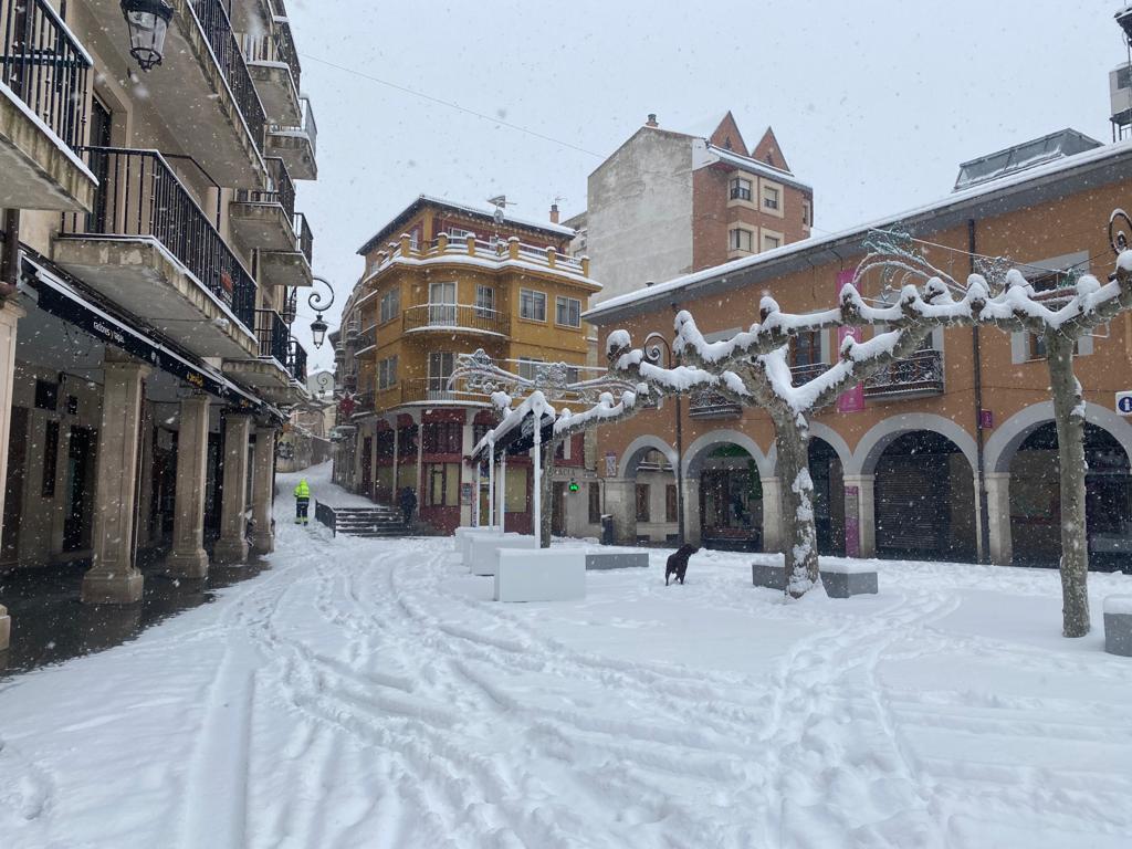 Fotos: Aranda de Duero se levanta cubierta de nieve