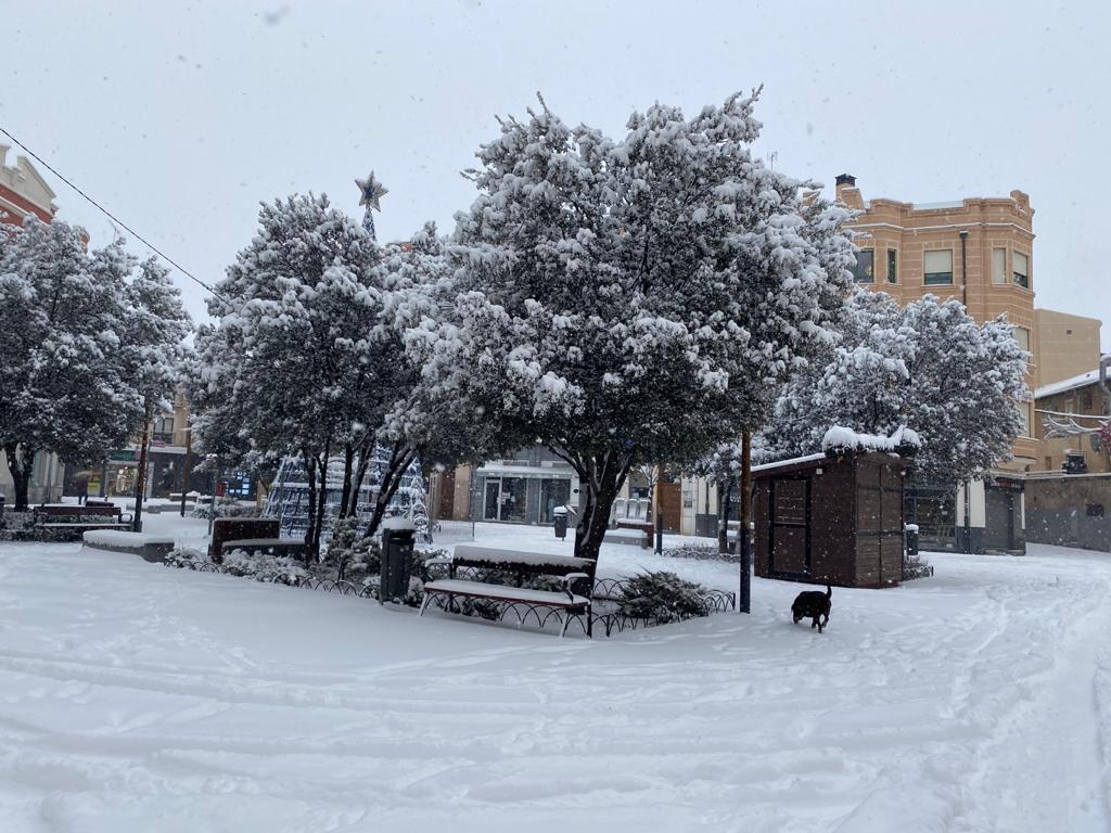 Fotos: Aranda de Duero se levanta cubierta de nieve