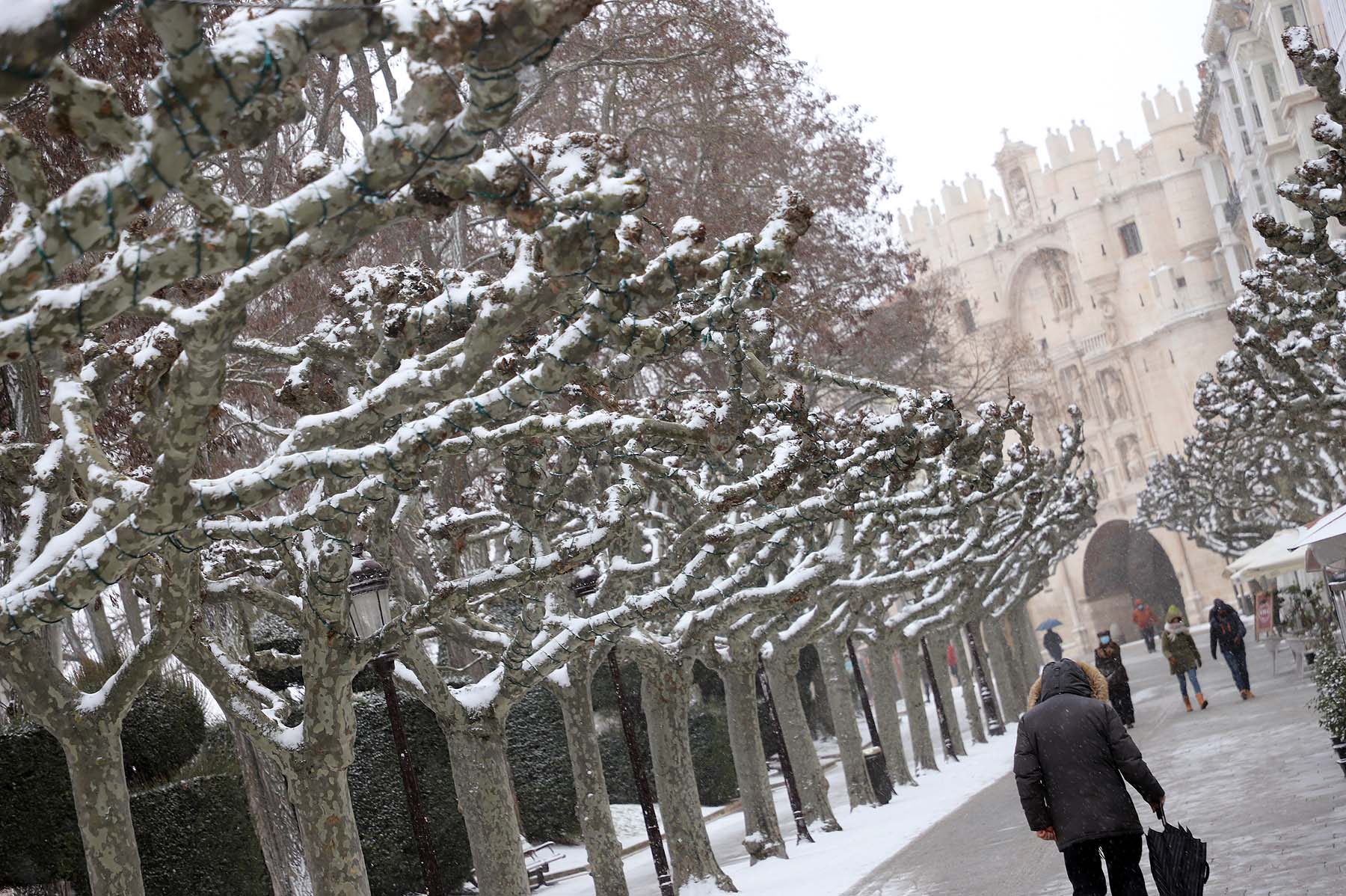 Fotos: Burgos se cubre de nieve gracias a Filomena