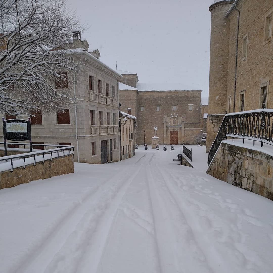 Fotos: Filomena riega de nieve la provincia de Burgos