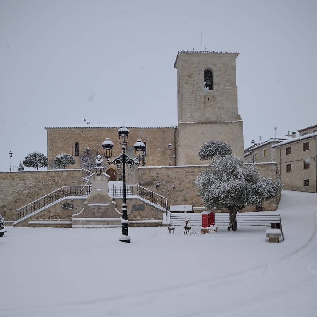 Fotos: Filomena riega de nieve la provincia de Burgos