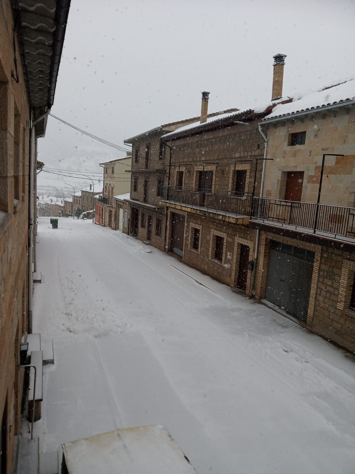 Fotos: Filomena riega de nieve la provincia de Burgos