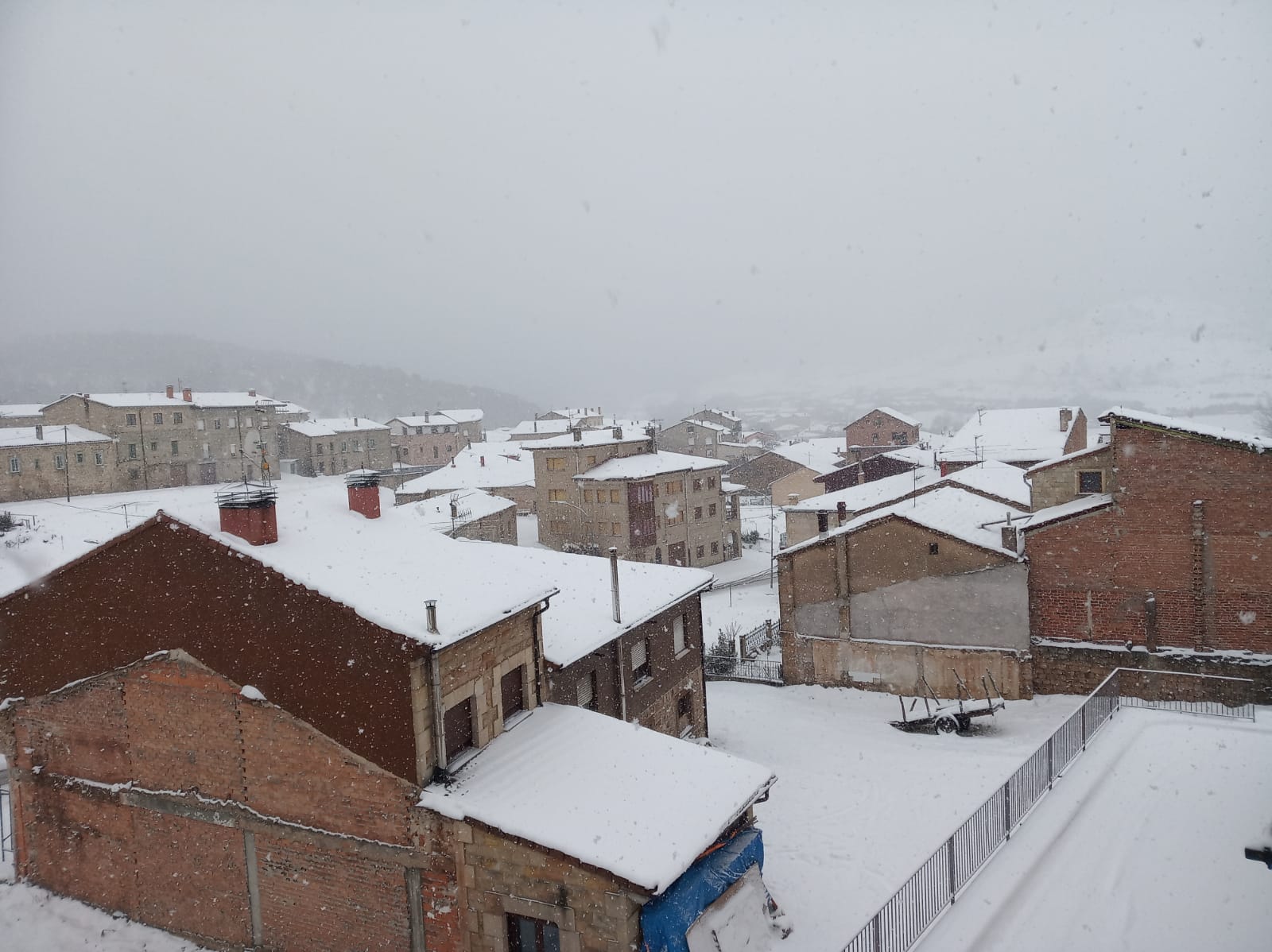 Fotos: Filomena riega de nieve la provincia de Burgos