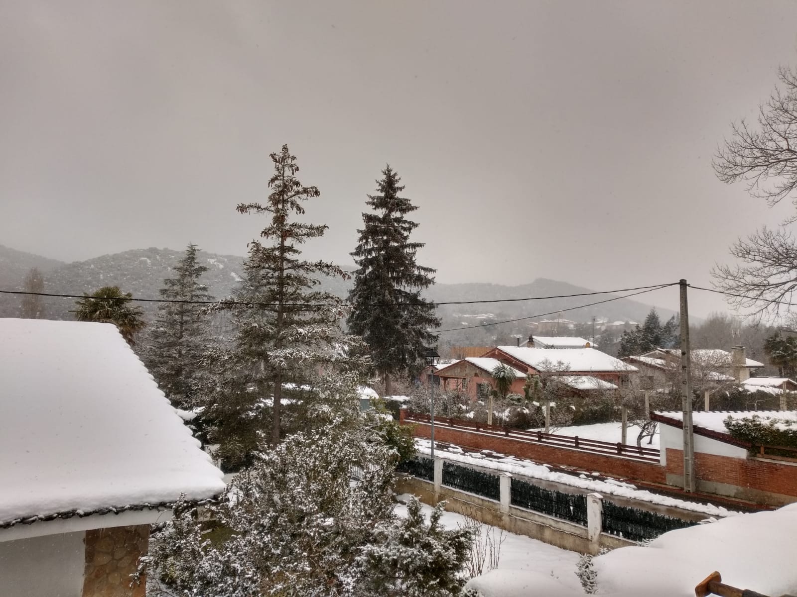 Fotos: Filomena riega de nieve la provincia de Burgos