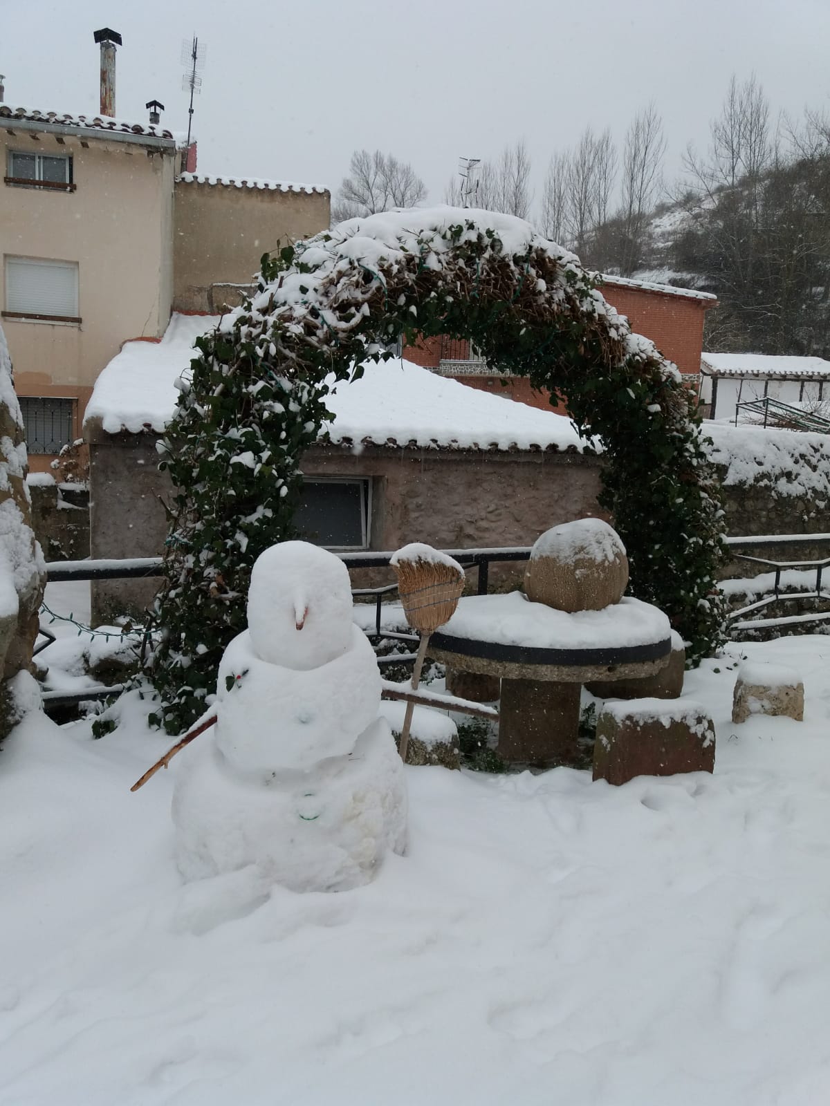 Fotos: Filomena riega de nieve la provincia de Burgos