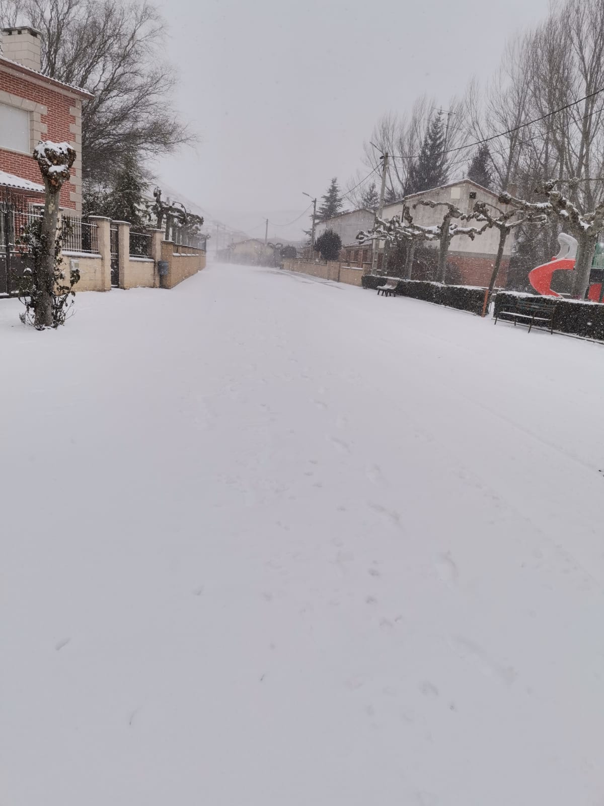 Fotos: Filomena riega de nieve la provincia de Burgos