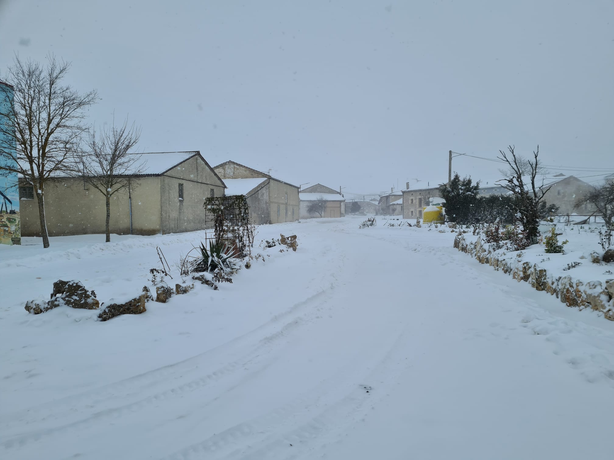 Fotos: Filomena riega de nieve la provincia de Burgos