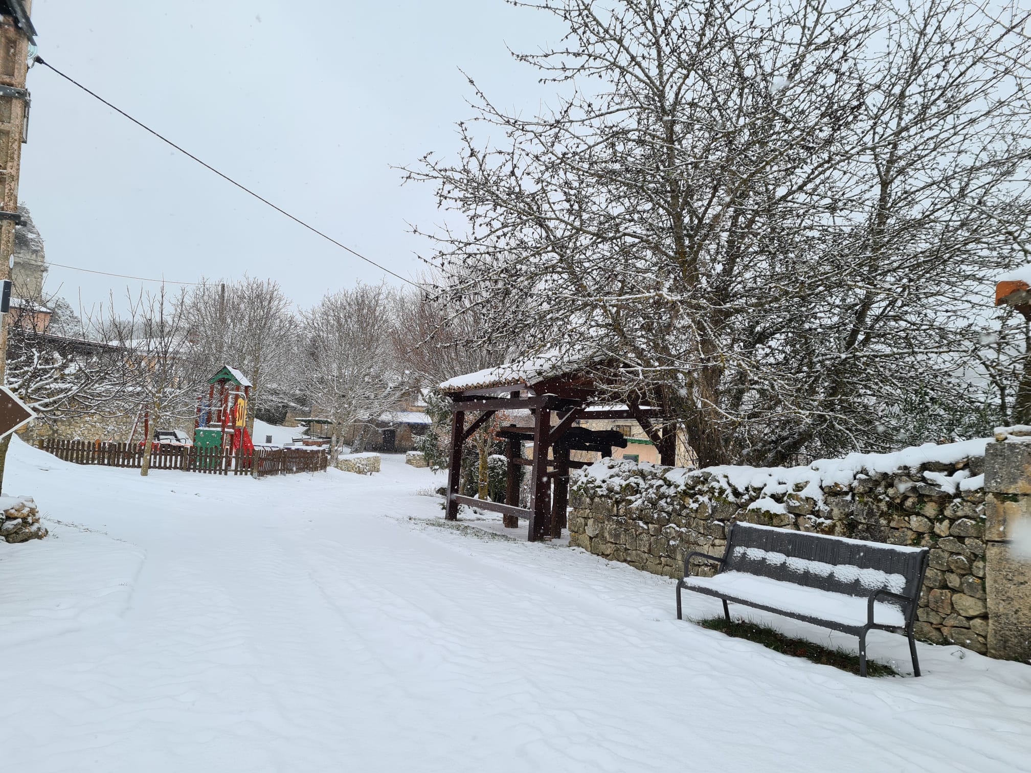 Fotos: Filomena riega de nieve la provincia de Burgos