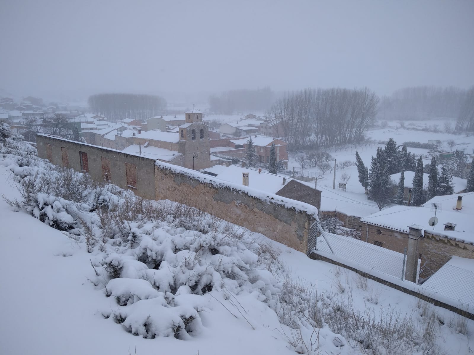 Fotos: La Ribera se cubre de blanco por la nieve de Filomena