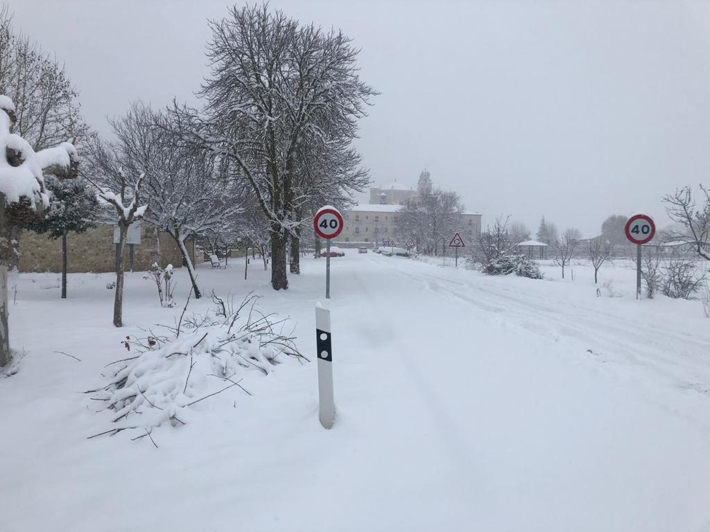 Fotos: La Ribera se cubre de blanco por la nieve de Filomena